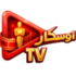 موقع-اوسكار-تي-في-Oscar-TV